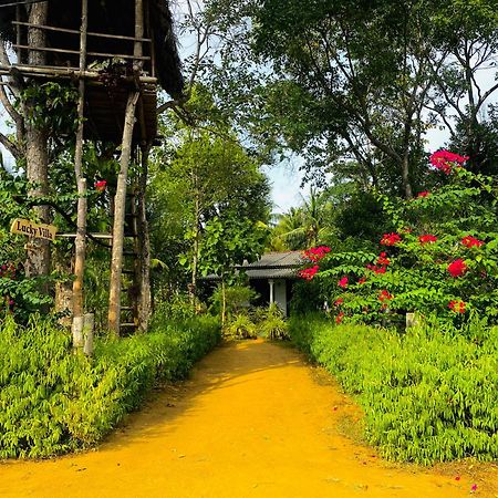 Lucky Villa Sigiriya Ngoại thất bức ảnh