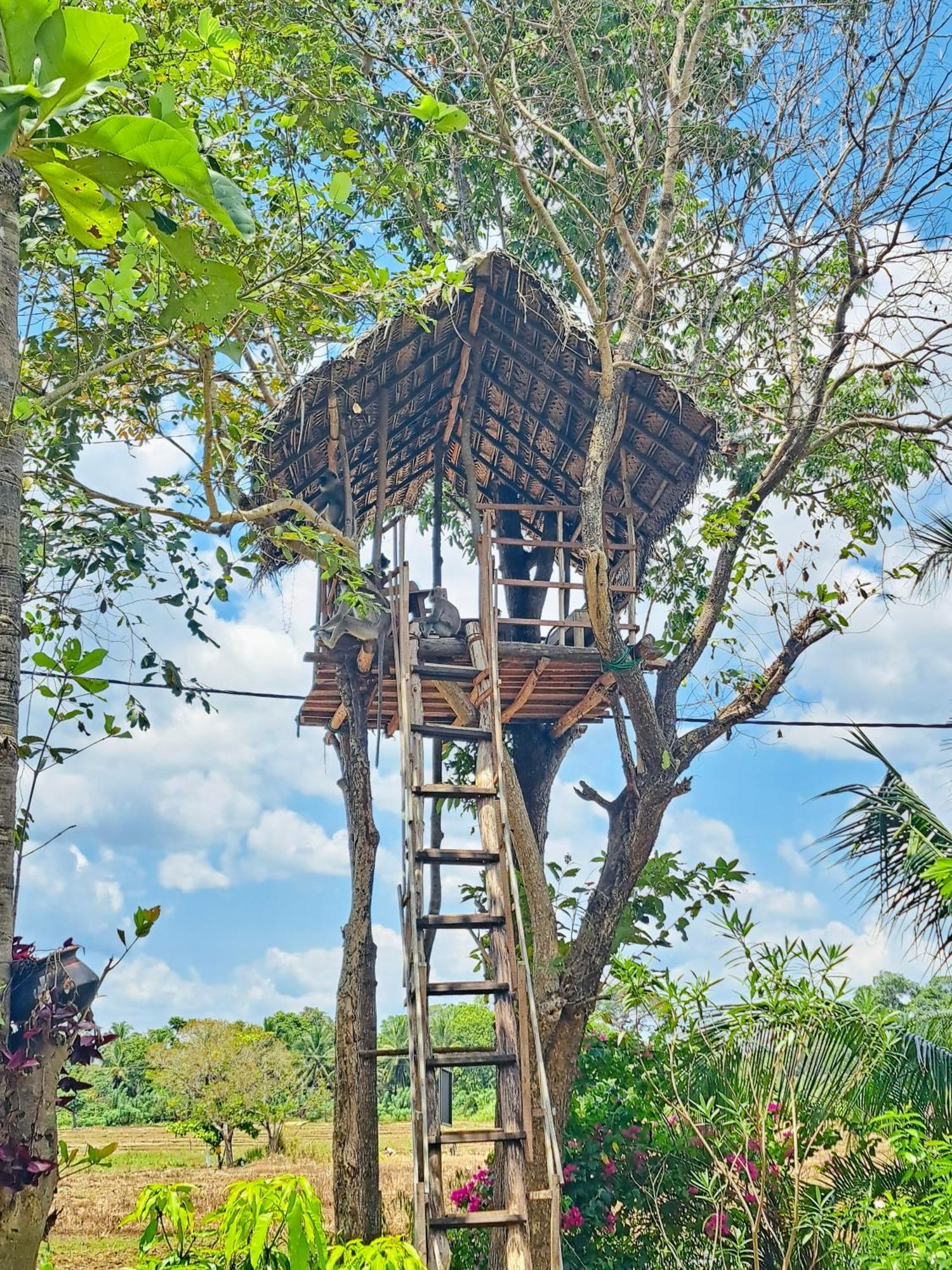 Lucky Villa Sigiriya Ngoại thất bức ảnh