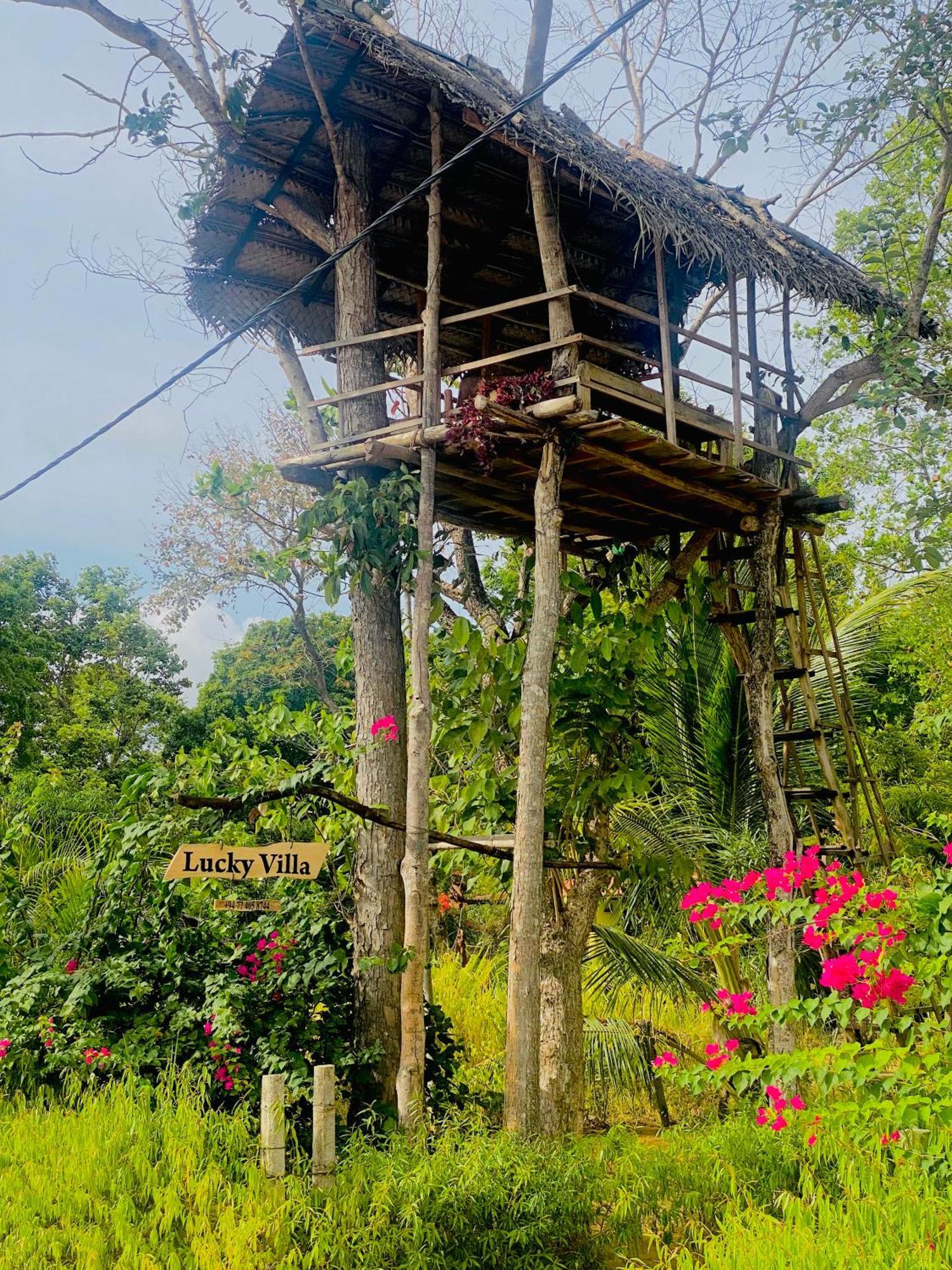 Lucky Villa Sigiriya Ngoại thất bức ảnh