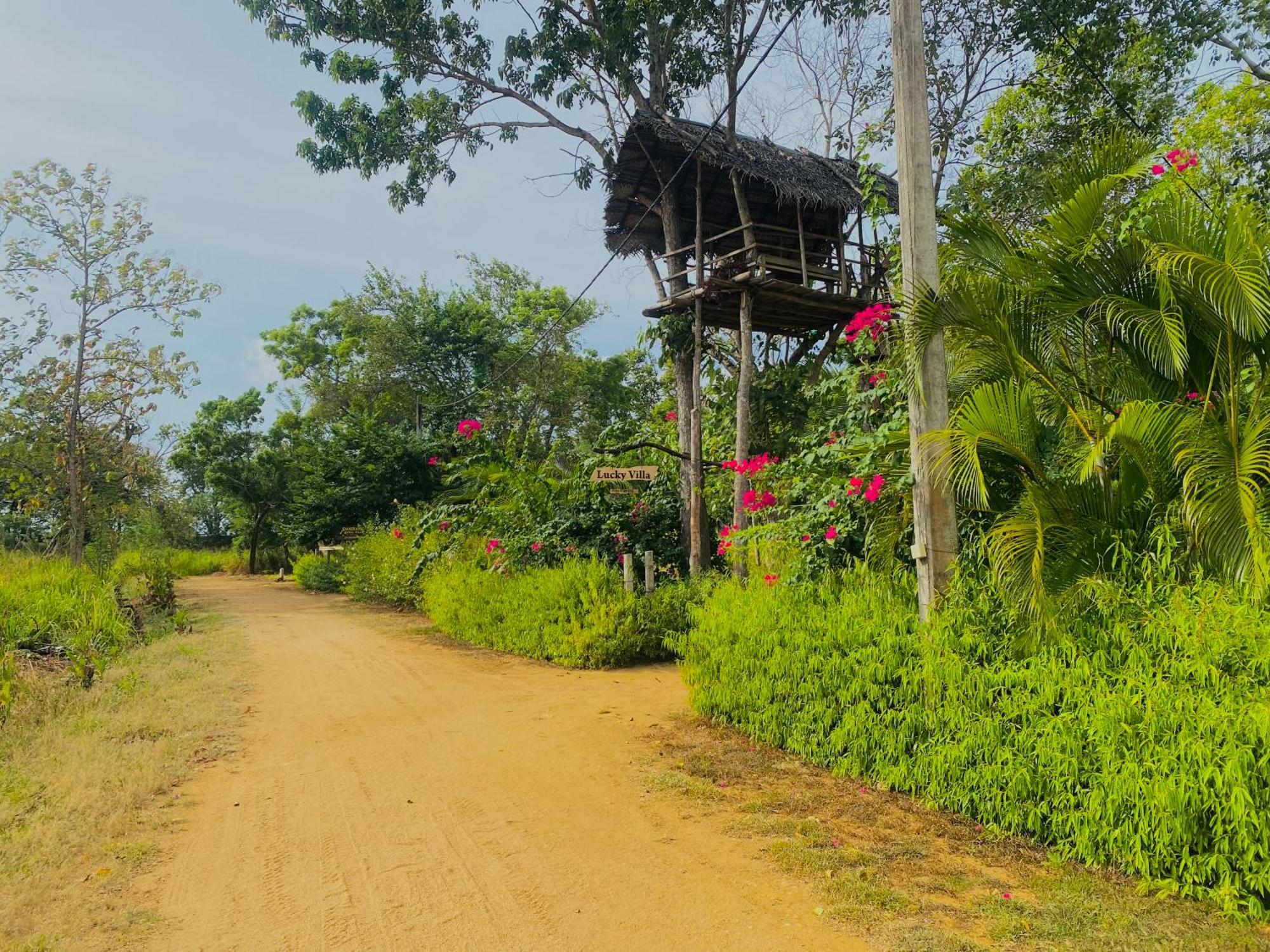 Lucky Villa Sigiriya Ngoại thất bức ảnh